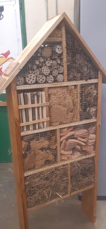 Un Hotêl à insectes pour l'Ecole Nelson Mandela